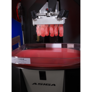 Dentca Denture 3D Print Resin in Asiga 3D Printer